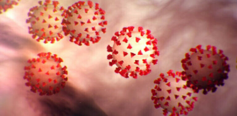 coronavirus closeup