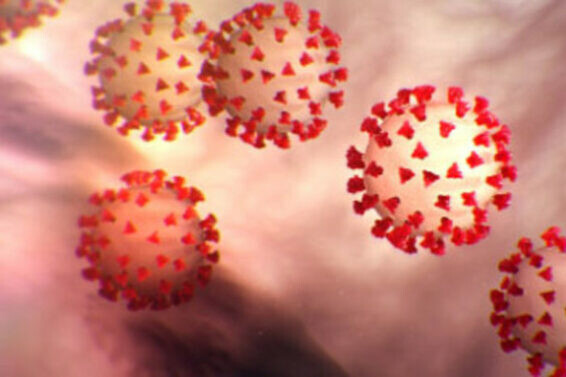 coronavirus closeup