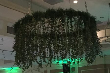 overhead decor with vines