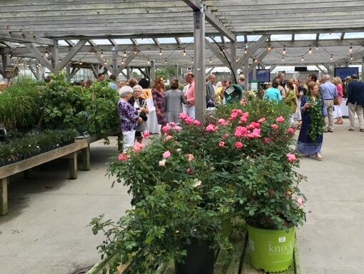 Fundraising event at a local plant nursery. Guests can be seen mingling amongst plants and tables of flowers for sale