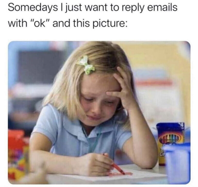meme of a girl crying with the caption 'somedays I just want to reply to emails with 'ok' and this picture:''