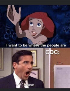 Meme of the little mermaid saying 'i want to be where the people are' and then a man screaming saying 'noooo!'